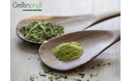  Eco-Friendly Products for a Sustainable Home